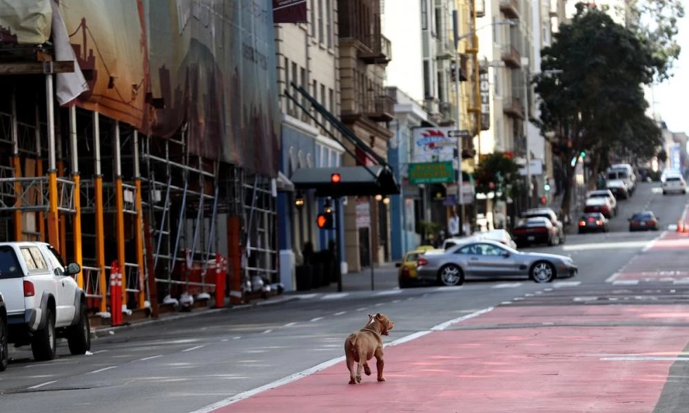 Οι δέκα πληγές της πανδημίας: Τι μας στοίχησε η χρονιά που πέρασε